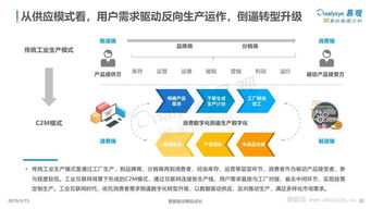 中國工業(yè)互聯(lián)網(wǎng)數(shù)字化發(fā)展專題分析 數(shù)據(jù)服務(wù)的新藍(lán)海